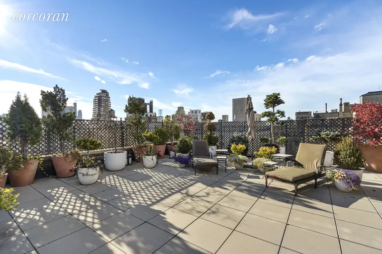 New York City Real Estate | View 1070 Park Avenue, PH-W | Terrace | View 7
