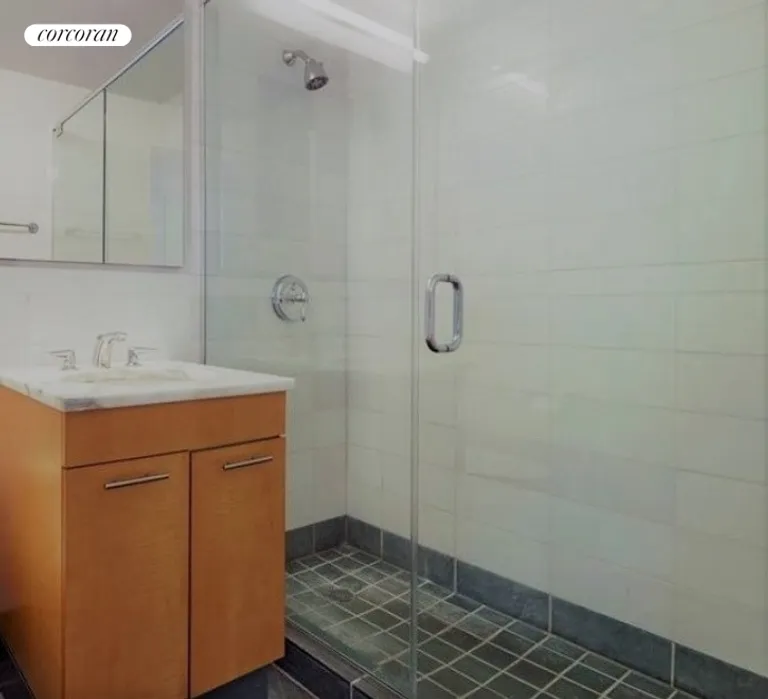 New York City Real Estate | View 230 Ashland Place, 19B | Bathroom | View 5