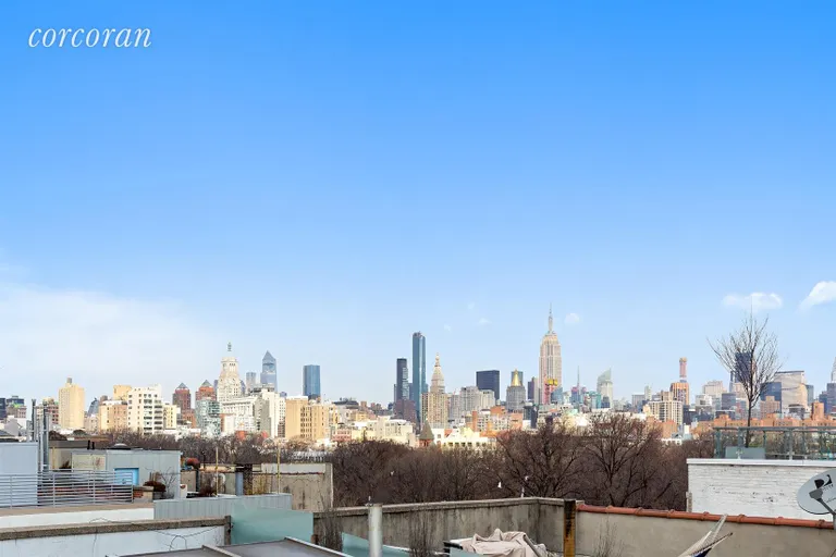 New York City Real Estate | View 99 Avenue B, 1C | Roof Deck View | View 4