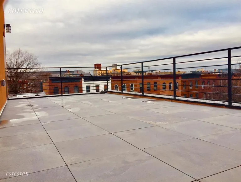 New York City Real Estate | View 572 Saint Marks Avenue, 3 | Common Roofdeck | View 8