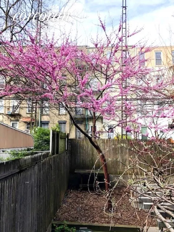 New York City Real Estate | View 338 58th Street, 1 | Redbud, one of NYC's Million Trees Initiative | View 10