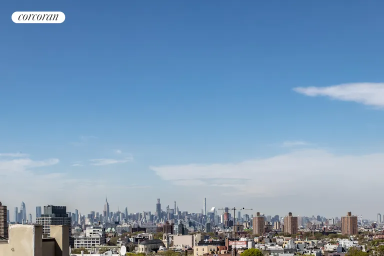 New York City Real Estate | View 115 Eastern Parkway, 3H | Views from roof deck | View 3