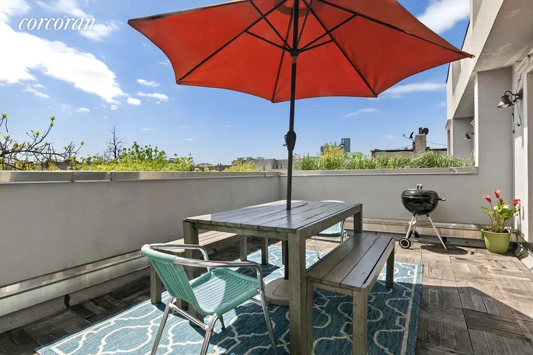 New York City Real Estate | View 167 Madison Street, C | Sunny South-Facing Private Roof Terrace | View 5