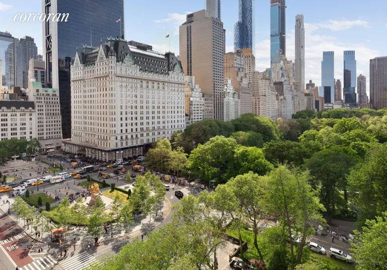 New York City Real Estate | View 795 Fifth Avenue, 1105-11 | View from Dining Room | View 3