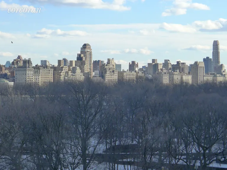 New York City Real Estate | View 400 Central Park West, 11L | Skyline and Central Park | View 3