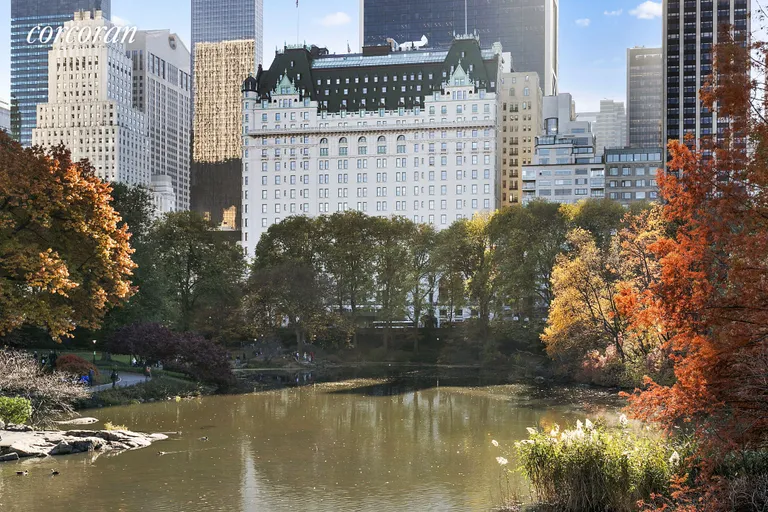 New York City Real Estate | View 1 Central Park South, 1907 | room 6 | View 7