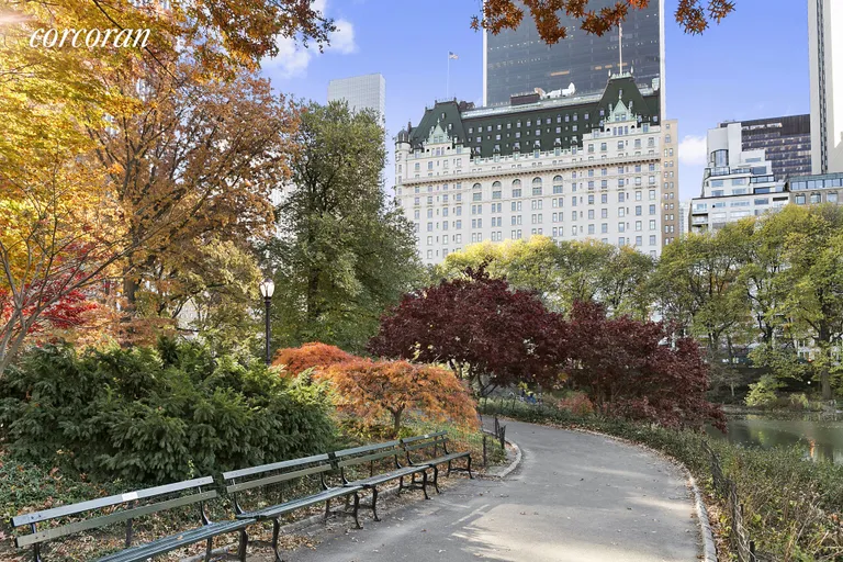 New York City Real Estate | View 1 Central Park South, 1907 | room 8 | View 9