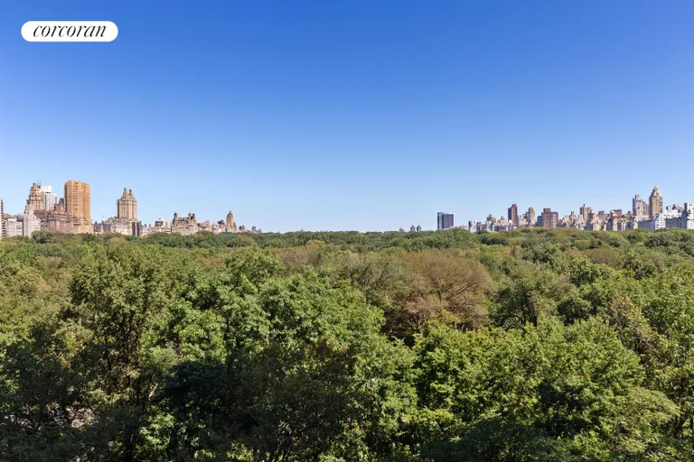 New York City Real Estate | View 160 Central Park South, 909 | Breathtaking views of Central Park | View 5