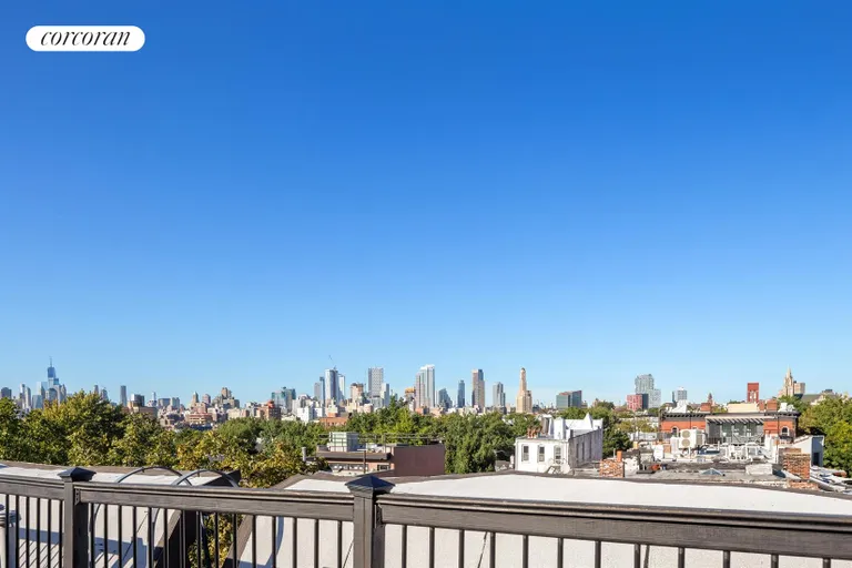 New York City Real Estate | View 378 6th Avenue, 2 | Roof Deck | View 2