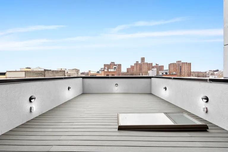 New York City Real Estate | View 1633 Pacific Street | Private roof deck with views of Brooklyn & beyond! | View 13