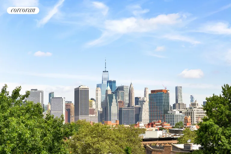New York City Real Estate | View 374 Clinton Street, 3 | View from Roof Terrace | View 9