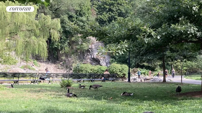 New York City Real Estate | View 353 West 117th Street, 3E | Morningside Park is full of canadian geese | View 11