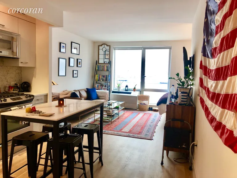 New York City Real Estate | View 267 Pacific Street, 406 | 1 Bath | View 1