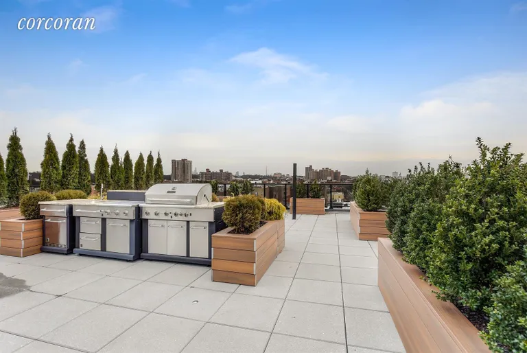 New York City Real Estate | View 2100 Bedford Avenue, 4F | Expansive & Gorgeous Landscaped Common Roof Deck | View 9