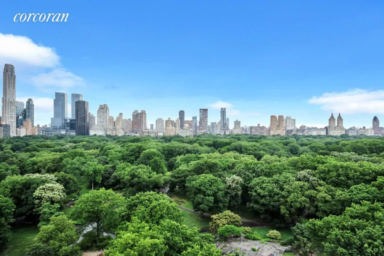New York City Real Estate | View 860 Fifth Avenue, 19H | Inspiring Views Over Central Park | View 6