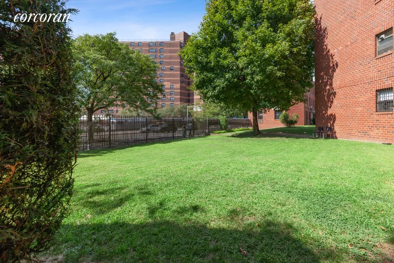 New York City Real Estate | View 421 Adelphi Street, G | Shared out door space! | View 10