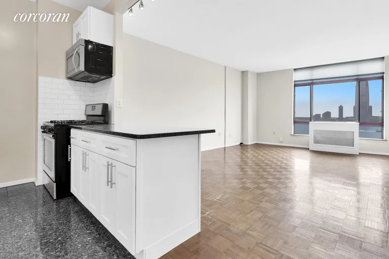 New York City Real Estate | View 350 Albany Street, 10A | room 5 | View 6