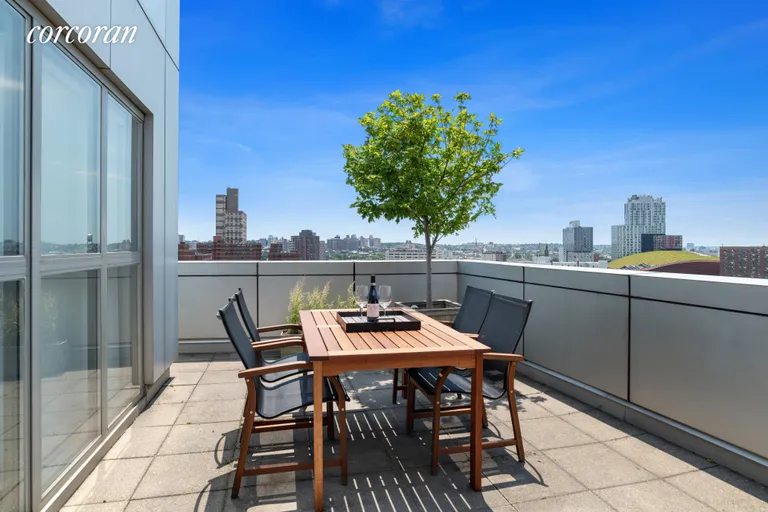New York City Real Estate | View 383 Carlton Avenue, 11S | Terrace | View 7