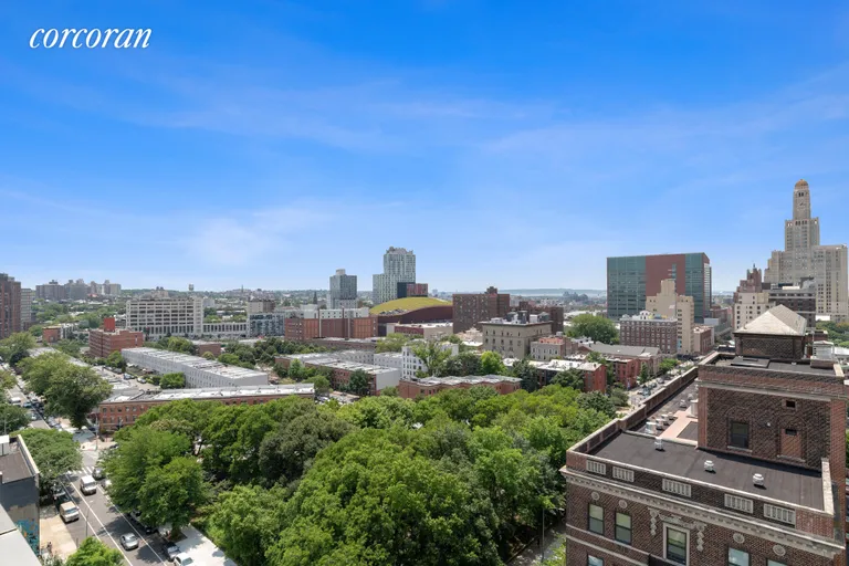New York City Real Estate | View 383 Carlton Avenue, 11S | Brooklyn/Barclays View | View 15