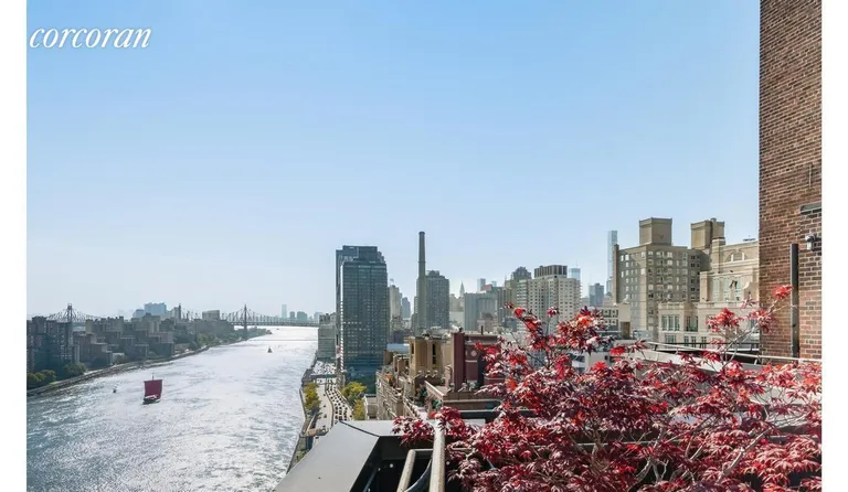 New York City Real Estate | View 45 East End Avenue, 15J | Roof Deck - East River Promenade Views | View 6