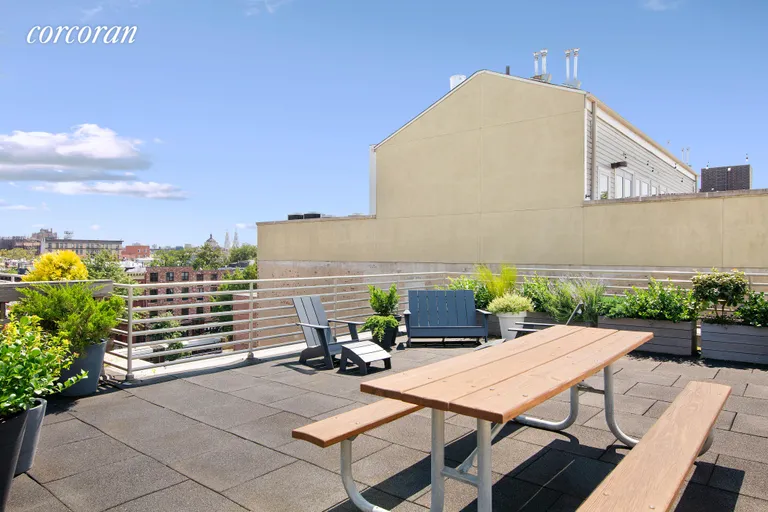 New York City Real Estate | View 794 Hart Street, 2A | room 5 | View 6