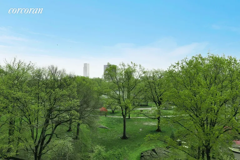 New York City Real Estate | View 336 Central Park West, 7A | View of Central Park from Major Rooms | View 2
