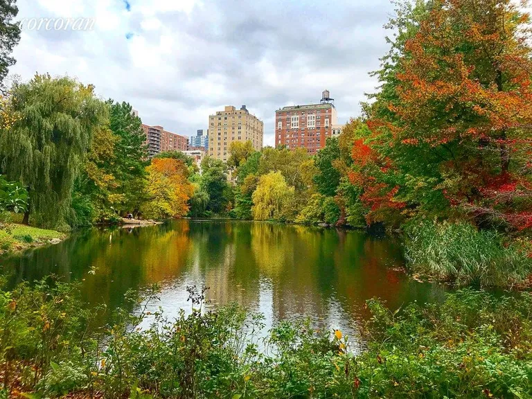 New York City Real Estate | View 420 Central Park West, 5F | Right Off Central Park | View 5