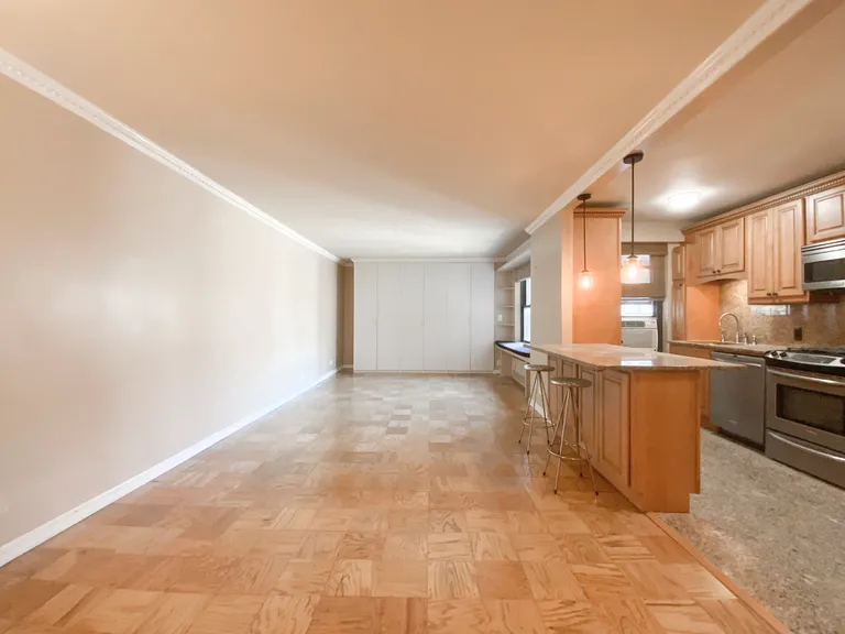 New York City Real Estate | View 266 East Broadway, B1402 | room 2 | View 3