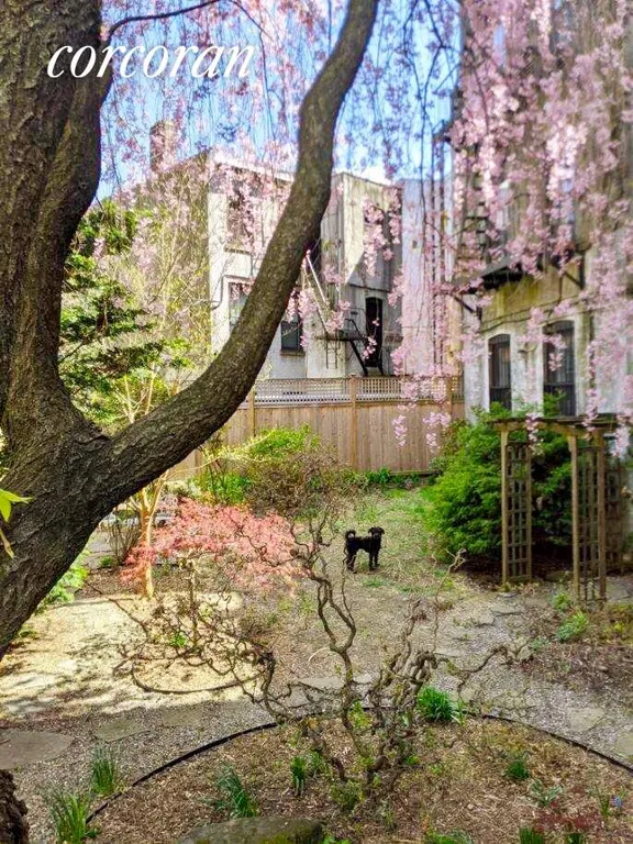 New York City Real Estate | View 305 Prospect Place, 4A | Shared garden in Spring, cherry tree in bloom | View 6