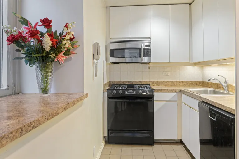 New York City Real Estate | View 100 United Nations Plaza, 6E | Windowed kitchen with dishwasher | View 2