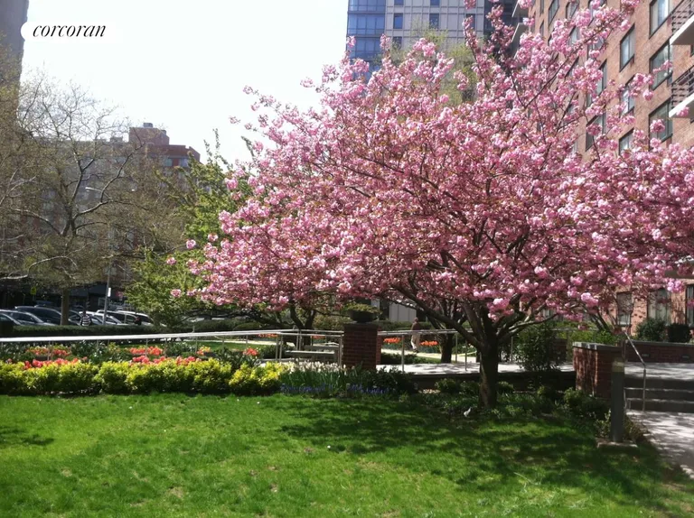 New York City Real Estate | View 382 Central Park West, 12F | Cherry tress in bloom | View 8