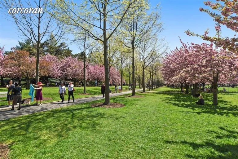 New York City Real Estate | View 61 Eastern Parkway, 2D | Brooklyn Botanic Garden | View 17