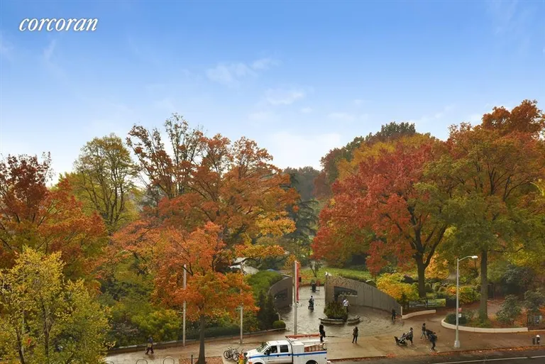 New York City Real Estate | View 125 Eastern Parkway, 5a | Autumn views | View 15