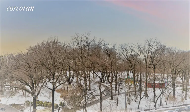 New York City Real Estate | View 125 Eastern Parkway, 5a | Sunset over park | View 19