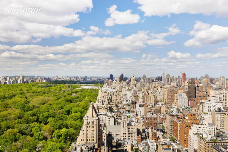 New York City Real Estate | View 795 Fifth Avenue, 3604 | View | View 7