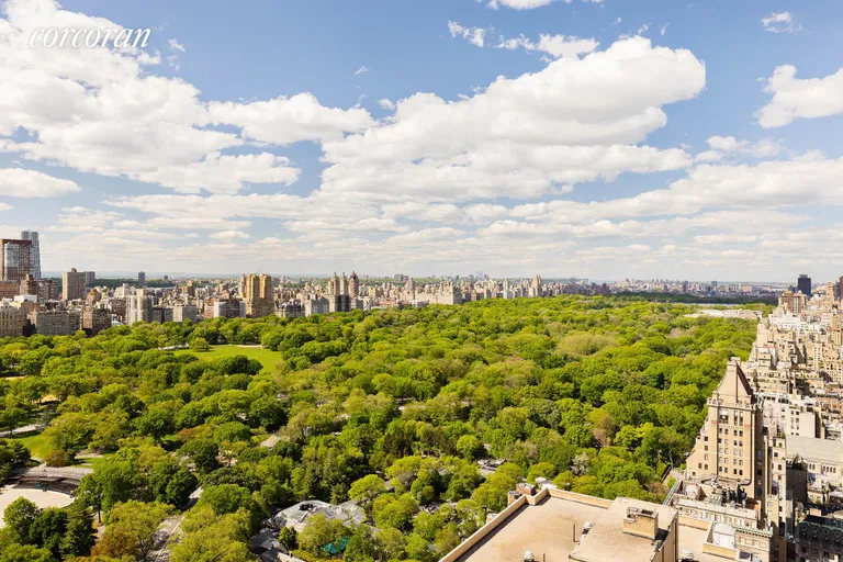 New York City Real Estate | View 795 Fifth Avenue, 3604 | View | View 12