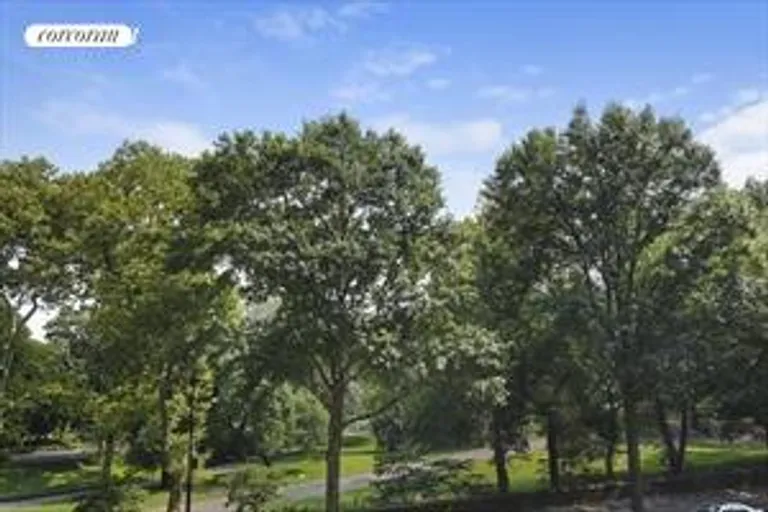 New York City Real Estate | View 101 Central Park West, 3F | Central Park Views | View 9