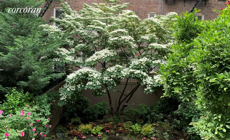 New York City Real Estate | View 32 Perry Street | Garden Tree | View 26