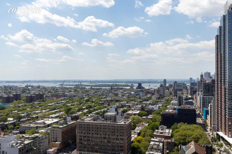 New York City Real Estate | View 1 Hanson Place, 25E | Statue of Liberty | View 7