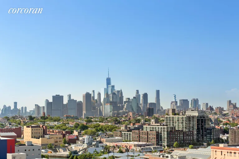 New York City Real Estate | View 251 7th Street, 3G | Skyline from roof deck | View 7