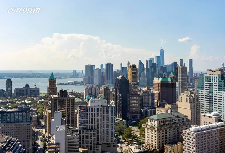 New York City Real Estate | View 11 Hoyt Street, 38J | View | View 8