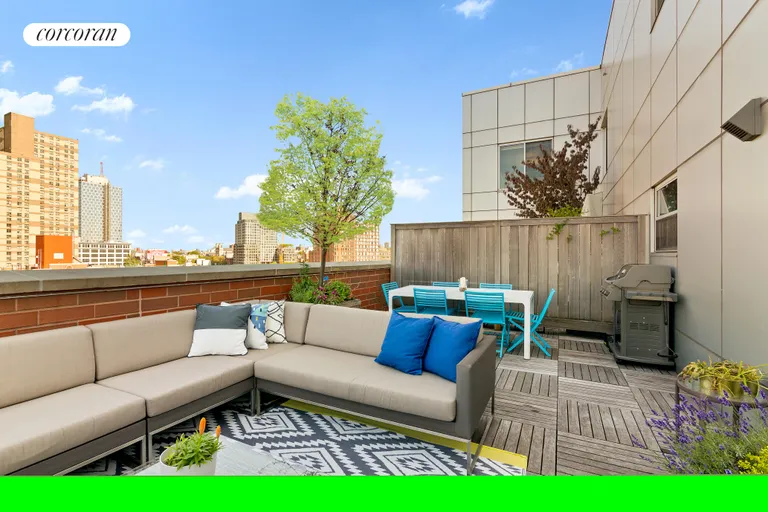 New York City Real Estate | View 212 South Oxford Street, PHA | Outdoor Space | View 6