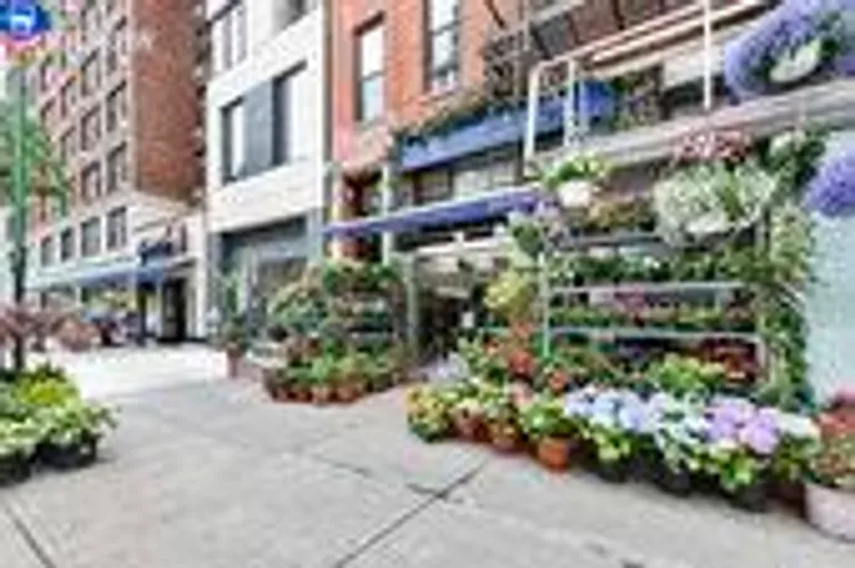New York City Real Estate | View 444 East 87th Street, 3A | Neighborhood | View 8