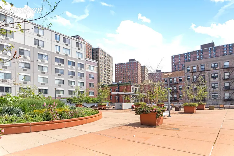 New York City Real Estate | View 300 West 145th Street, 3L | Inner Garden & Courtyard | View 13