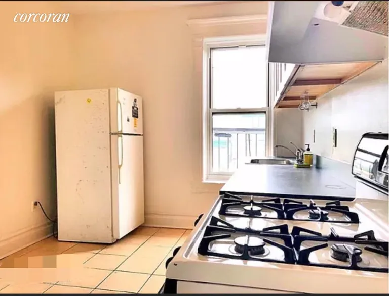 New York City Real Estate | View 479 Prospect Place, 3L | room 10 | View 11