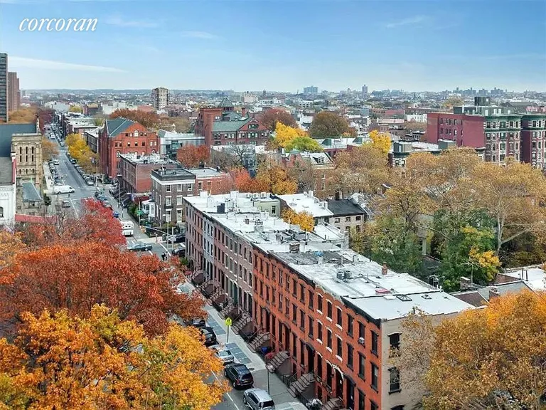 New York City Real Estate | View 325 Clinton Avenue, 12D | View | View 6