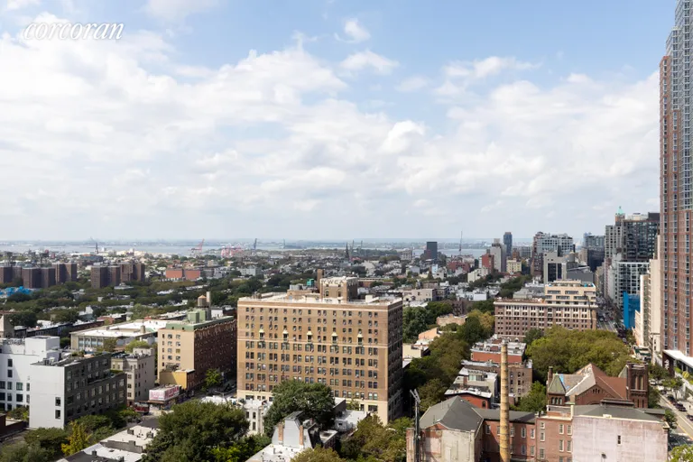 New York City Real Estate | View 1 Hanson Place, 18J | View | View 10