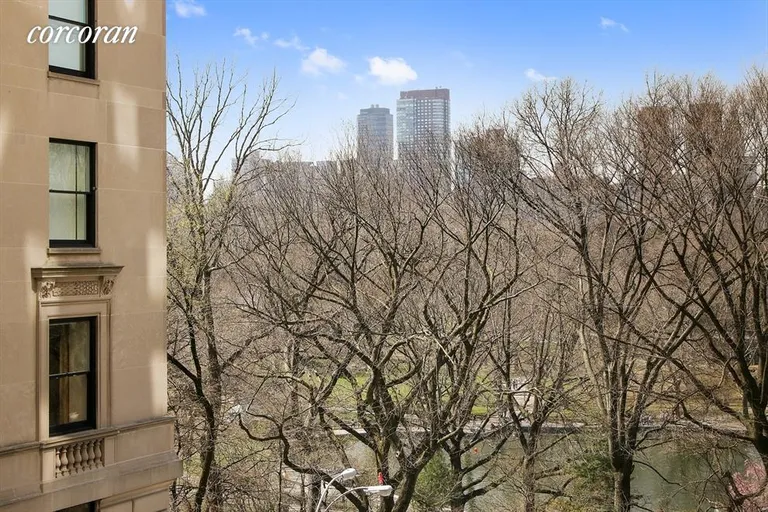 New York City Real Estate | View 930 Fifth Avenue, 4E | Oblique Central Park Views | View 9