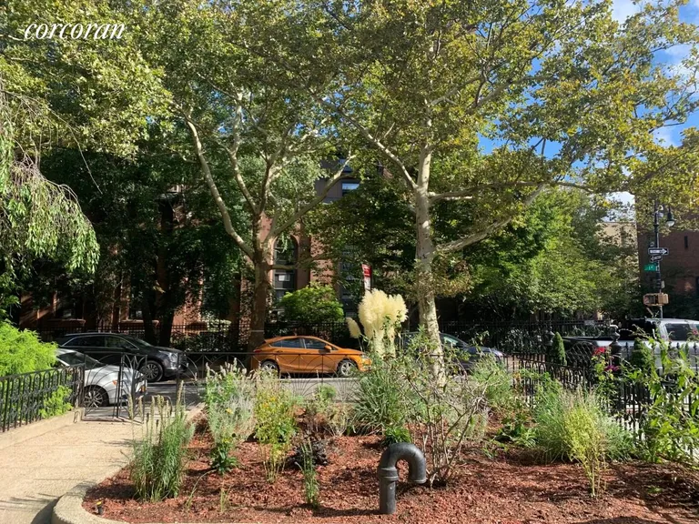 New York City Real Estate | View 46 1st Place, 1 | Front Garden View | View 10
