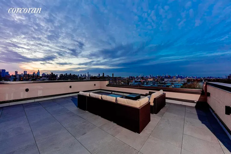 New York City Real Estate | View 627 Dekalb Avenue, 4A | Roof Deck | View 13